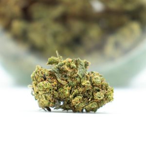 Blueberry Muffin