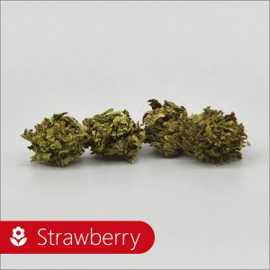 Fleur de CBD Strawberry Nature Alsacienne