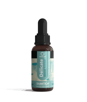 Huile CBD Large Spectre  : La délicate 20% - Menthe Glacial