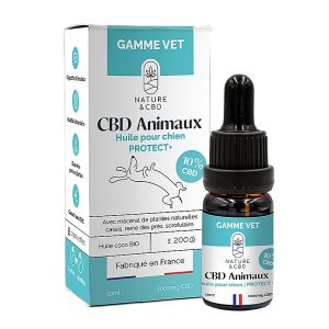 Huile CBD Animaux Protect+ 10% - chien