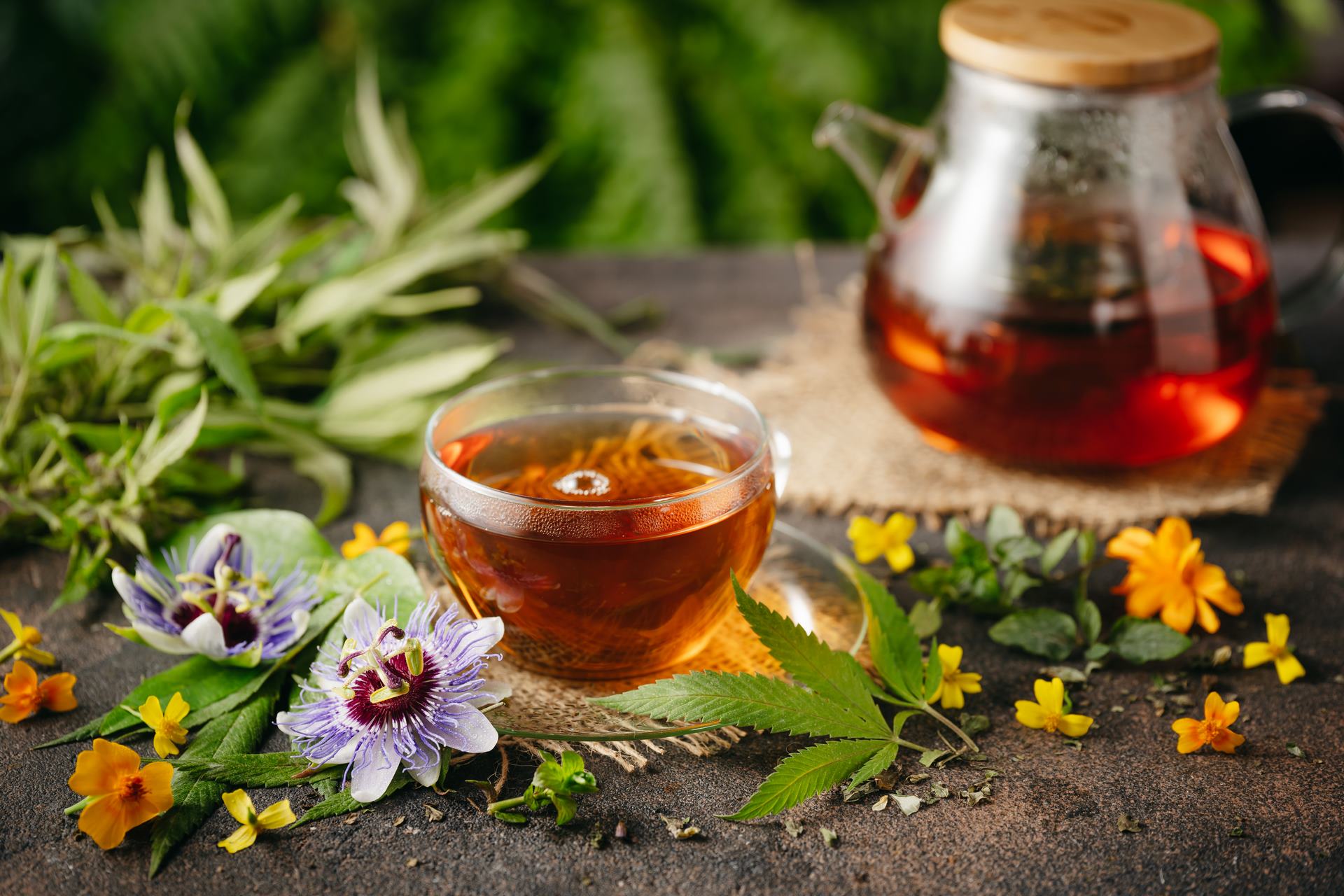infusion au cbd Gamme de produits CBD pour le sport