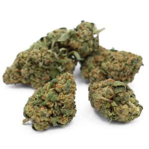 Green Gelato Indoor
