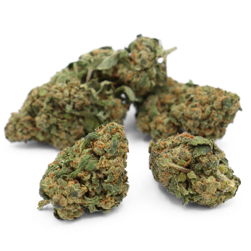 Green Gelato Indoor